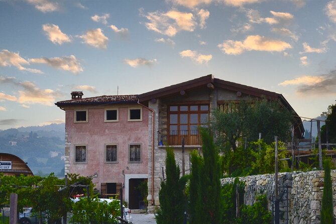 6 Wine Tasting in Valpolicella Classica: the cradle of Amarone - Barrel cellar walk and the art of refinement