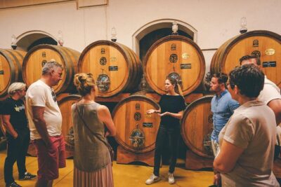 Amarone Wine-tasting Tour from Verona with Private Transportation - Second winery visit: comparing aromas and styles in Valpolicella