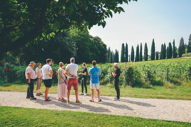 Amarone Wine-tasting Tour from Verona with Private Transportation - Should you book this Verona-to-Valpolicella wine tour?