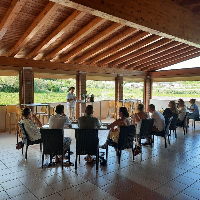 Bardolino: Vineyard Tour with Wine, Olive Oil & Food Tasting - Entering the vineyards above Rocca del Garda: your 2-hour flow