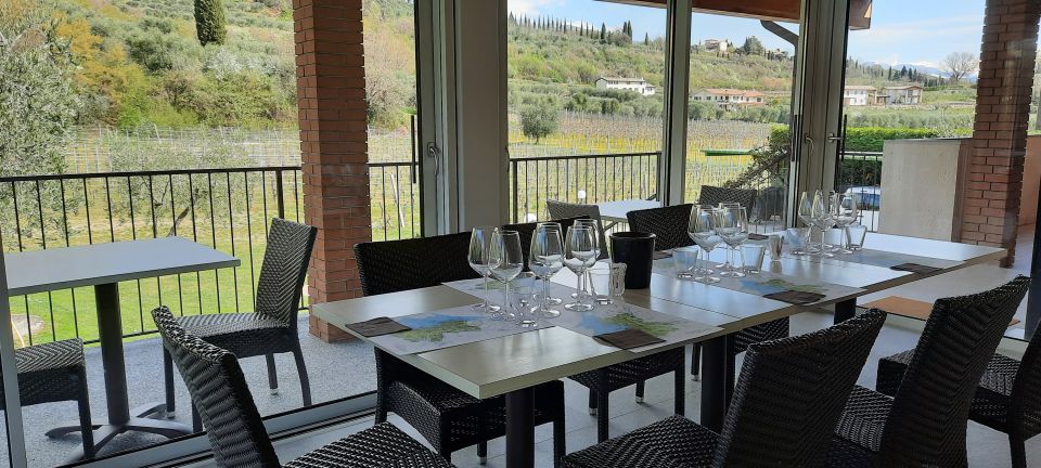Bardolino: Vineyard Tour with Wine, Olive Oil & Food Tasting - What to watch for: rain or shine and strict access rules