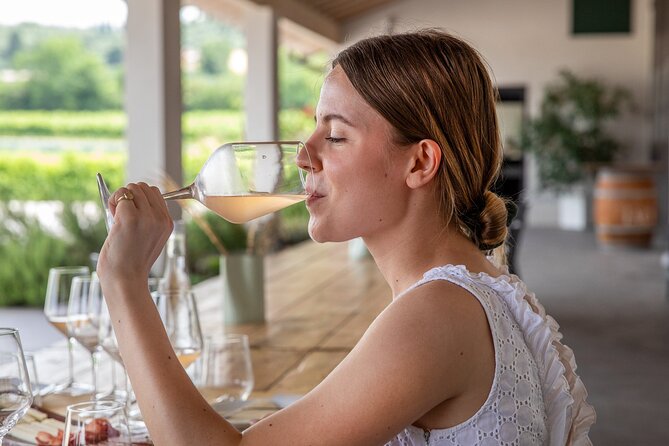 Bardolino Wine Experience - Key highlights worth your time