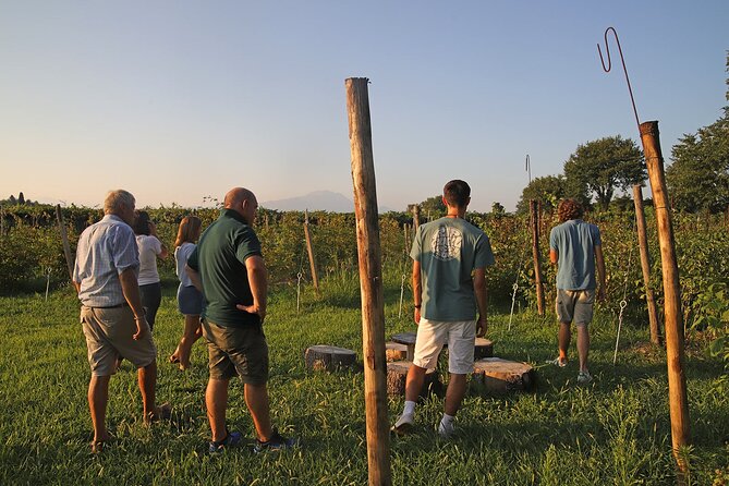 Beekeeping Farm Tour and Tasting Experience in Lazise - The garden-and-hives connection: fruit and vegetables aren’t just scenery