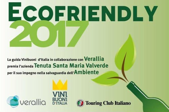 Bike Station Valpolicella: E-bike tour & Amarone Tasting - Temple of Minerva: a possible bonus stop in the real world