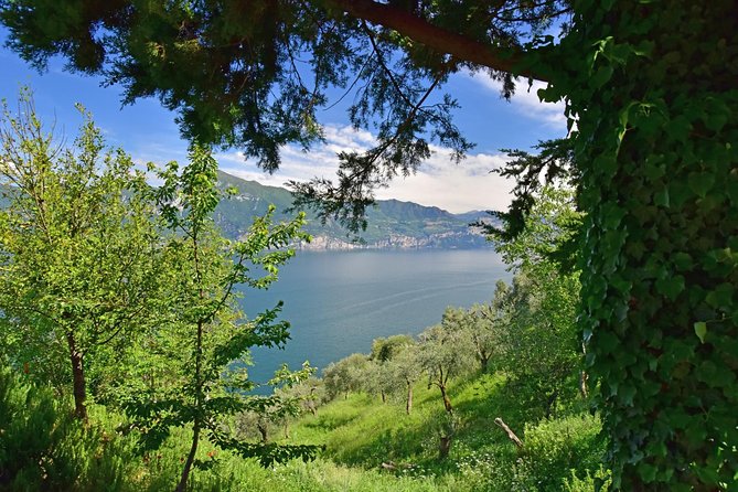 City Escape: Lake Garda Private Day Trip from Verona - Stop 4: Lago di Garda for a quieter lakeside intermission