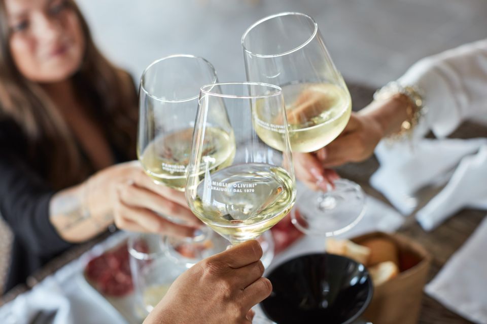 Desenzano: Lugana Wine-Tasting and Vineyard Tour - What happens during the 2-hour tour: vineyard walk to cellars to tasting