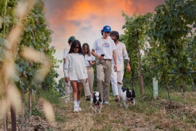 Desenzano: Lugana Wine-Tasting and Vineyard Tour - Getting to San Martino della Battaglia: parking works, taxis can be tricky