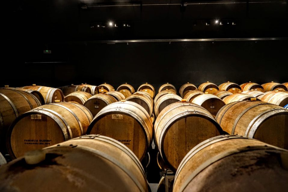 Desenzano: Lugana Wine-Tasting and Vineyard Tour - Who should book this (and who should skip it)
