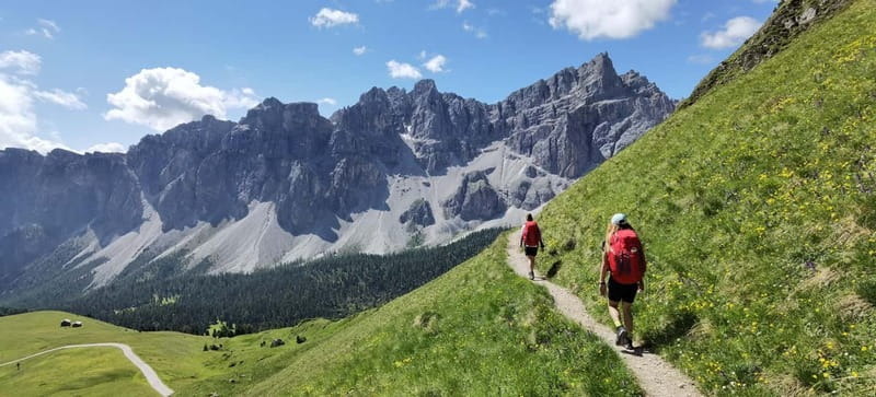 Dolomites of Bolzano: Hiking Experience with a local Guide - What Dolomites areas you might visit around Bolzano