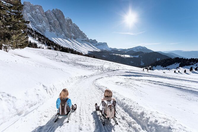 Dolomites of Bolzano Winter Hiking & Sledding Experience - How your guide picks the route (and why it improves the experience)