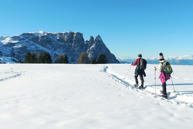 Dolomites of Bolzano Winter Hiking & Sledding Experience - Price and what you’re really paying for (around $213.94)