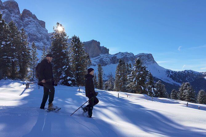 Dolomites of Bolzano Winter Hiking & Sledding Experience - Pickup, private transport, and how the day flows (7 hours, roughly)