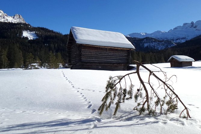 Dolomites of Cortina Winter Hiking & Sledding Experience - Lunch Time in the Dolomites: Plan for Food On Your Own