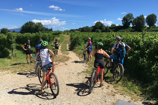 E-Bike Tour and Wine Tasting in Lazise - Colà di Lazise thermal park area: a scenic waypoint