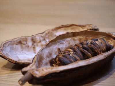 Fine Chocolate Tasting in Turin - Gianduja, then dark, milk, and white: the flight that builds your palate