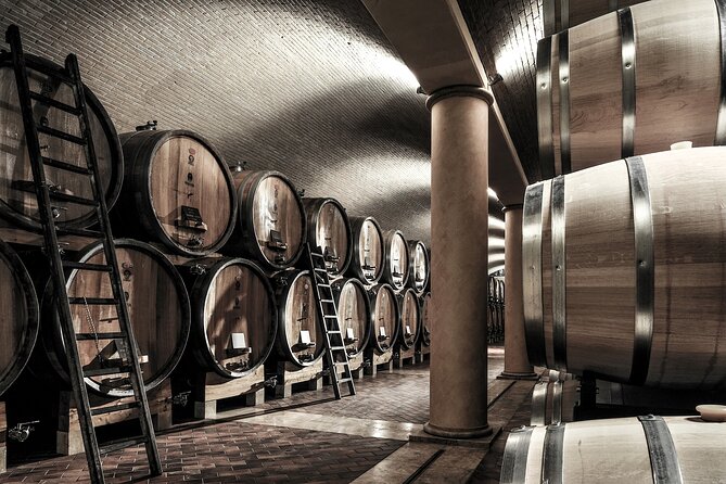 Food and Wine Tasting in Valpolicella - Key highlights you’ll actually feel during the tour