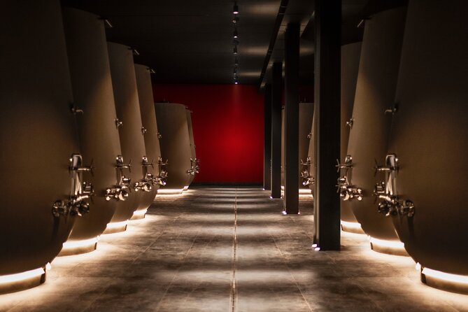 Food and Wine Tasting in Valpolicella - Valpolicella Classica Start: Pedemonte vineyards and the drying-loft story