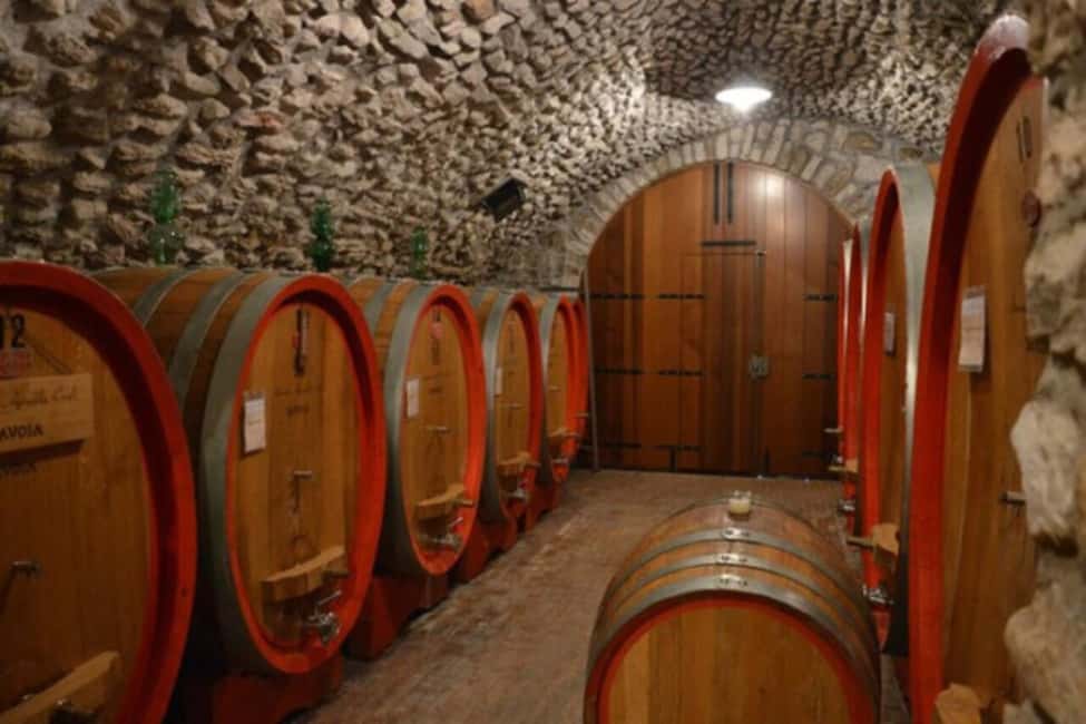 From Verona: Amarone Half-Day Wine Tasting Tour - Price and Value: Is $106 Worth It?