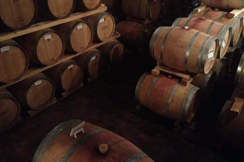 From Verona: Amarone Wine E-Bike Tour with Tasting - Starting at Itinera Bike & Travel and rolling out of Verona