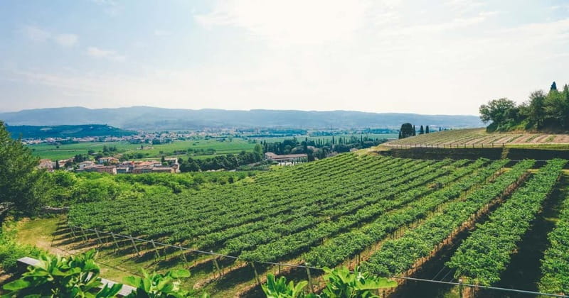 From Verona: Amarone Wine E-Bike Tour with Tasting - What to bring and how to prep for a traffic-open bike route