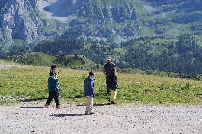From Verona: Full-day Dolomites Mountains trip - Timing, weather shifts, and the long ride home after 16:30