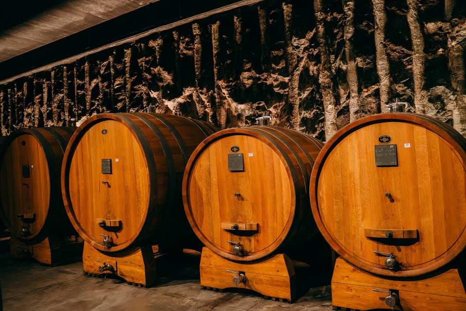 From Verona: Valpolicella and Amarone Wine Tasting Tour - From Ristori Theatre to Valpolicella: the small-group minivan start