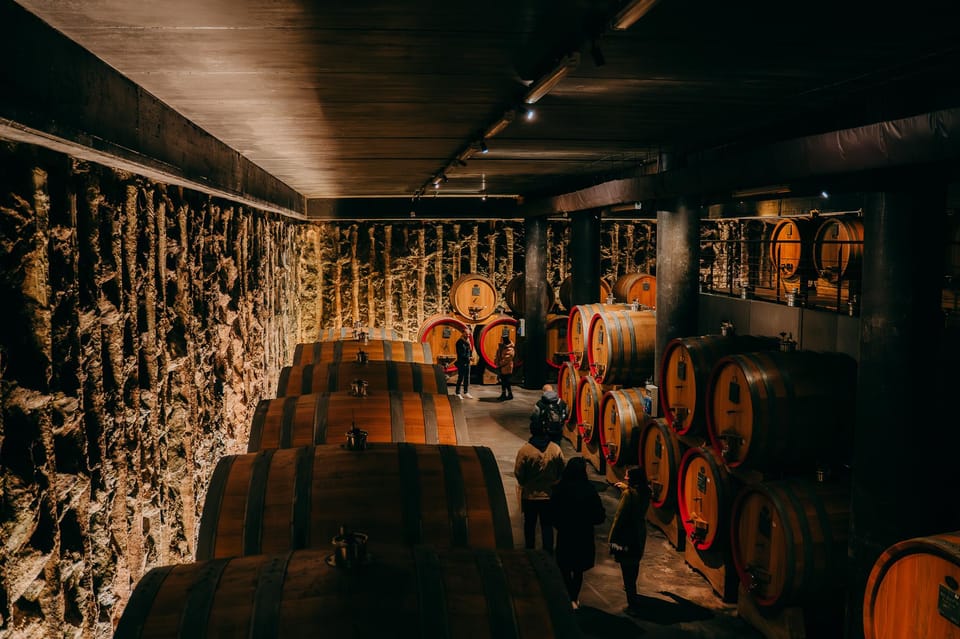 From Verona: Valpolicella and Amarone Wine Tasting Tour - Why the Amarone lesson matters (and how it shows up during the day)