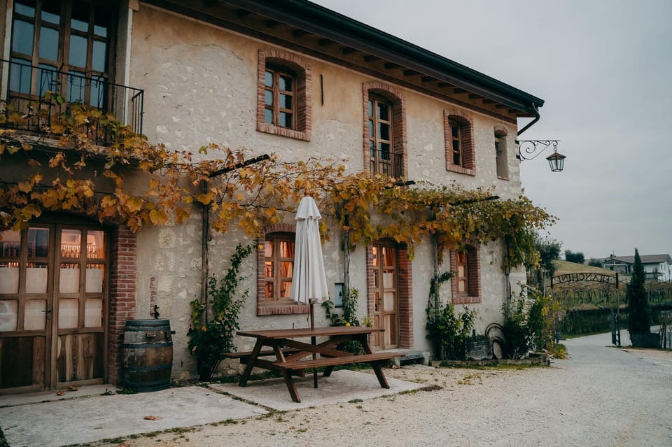 From Verona: Valpolicella and Amarone Wine Tasting Tour - How long it really feels: the 4-hour pacing and tasting amount