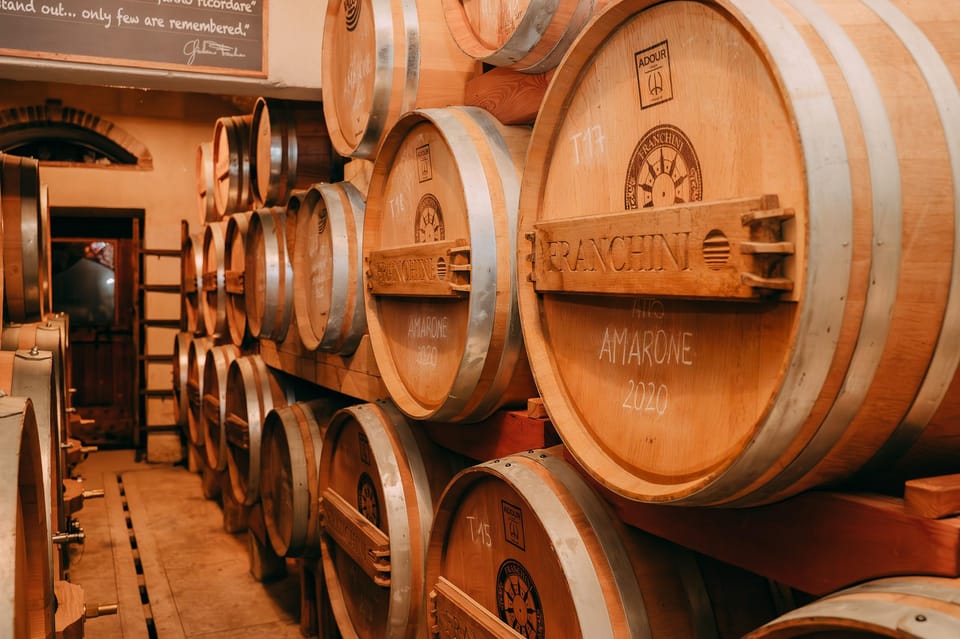 From Verona: Valpolicella and Amarone Wine Tasting Tour - Who should book this Verona to Valpolicella wine tasting tour