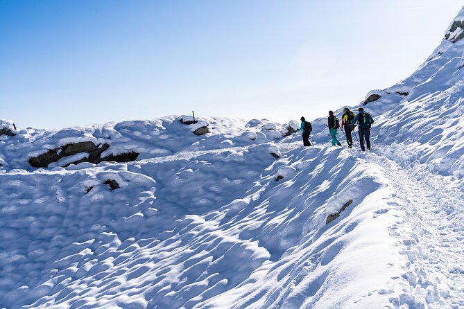 Guided Snowshoeing Day to Discover the Dolomites - Key highlights you’ll feel on the snow