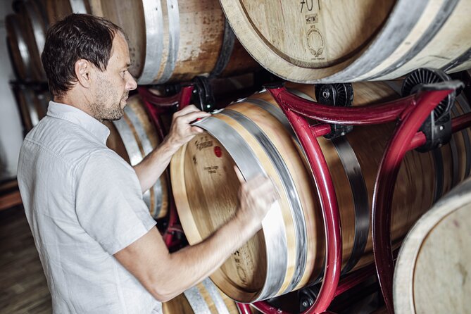 Guided winery tour with tasting in Bolzano at the SKYWINE PAVILLON - The Cellar Portion: Natural Winemaking, Explained Without the Attitude