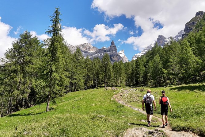 Hike the Dolomites One Day Private Excursion from Bolzano - From chairlift to trail: how difficulty and altitude get handled
