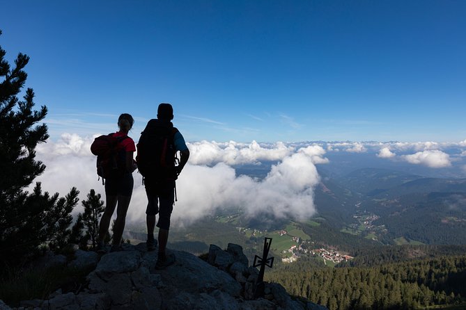 Hike the Dolomites One Day Private Excursion from Bolzano - Transfers, time, and the $219.80 price: is it worth it?