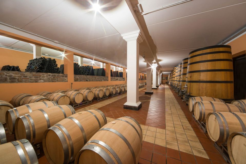 Lake Garda: Garda Hills Wine Tour and Tasting - Key things I’d circle before you go