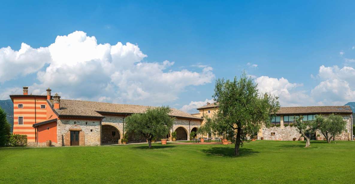 Lake Garda: Garda Hills Wine Tour and Tasting - Lake Garda hills and a family estate that feels personal