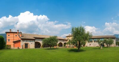 Lake Garda: Garda Hills Wine Tour and Tasting - Vineyard walk: learning grape varieties without getting stuck in a classroom
