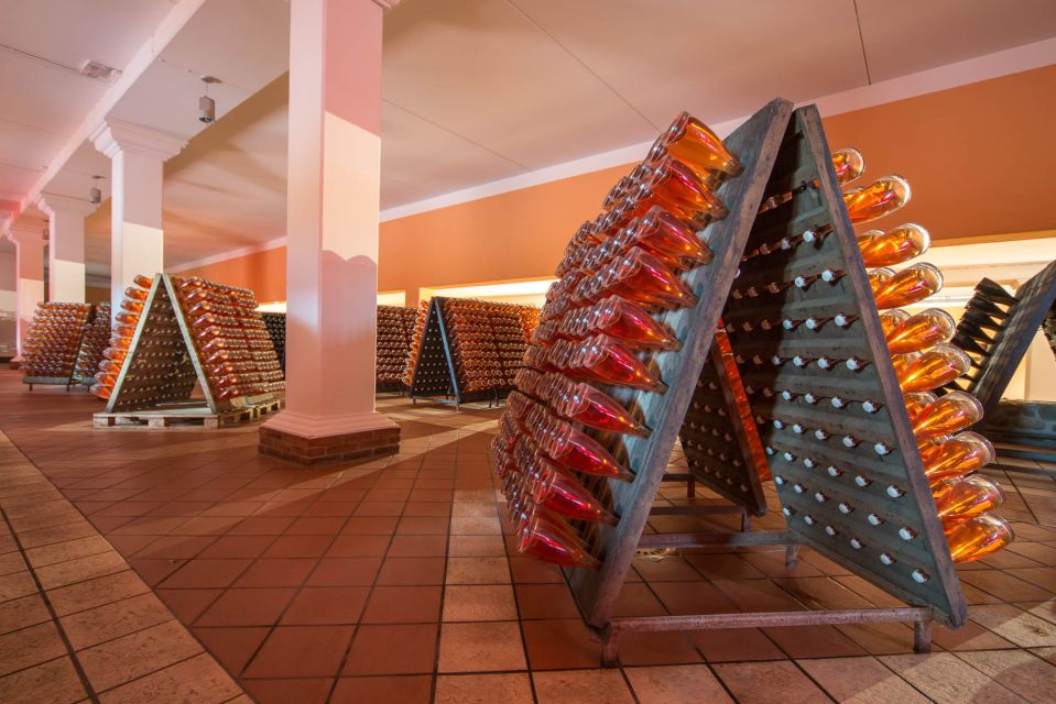Lake Garda: Garda Hills Wine Tour and Tasting - Price and value: does $51 buy enough?