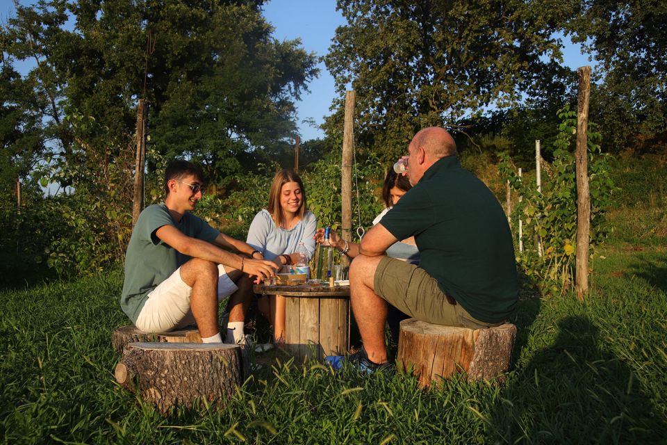 Lazise: Beekeeping Farm Tour and Tasting Experience - Bee time: sounds, scent, and what a hive actually does
