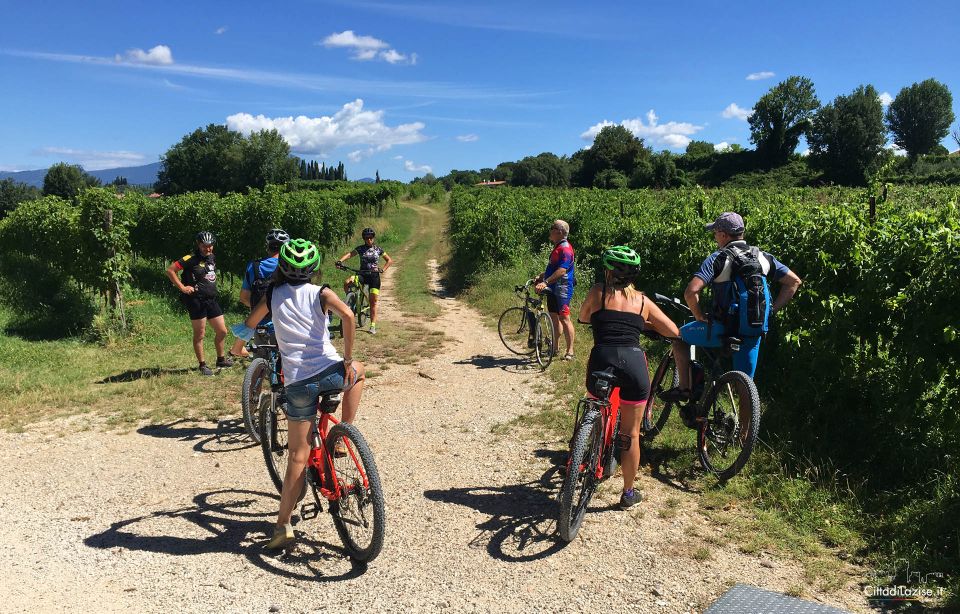 Lazise: Bike Tour and Wine Tasting - Key Points I’d Prioritize Before You Go
