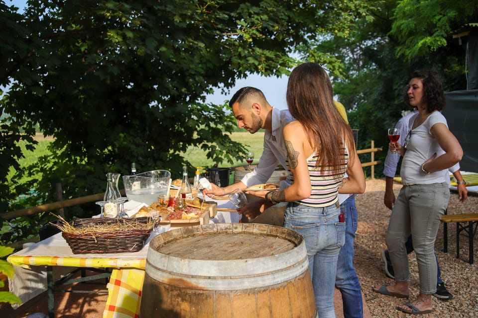 Lazise: Biodynamic Farm Tour and Natural Wine Tasting - Who this tour is best for (and who should skip it)