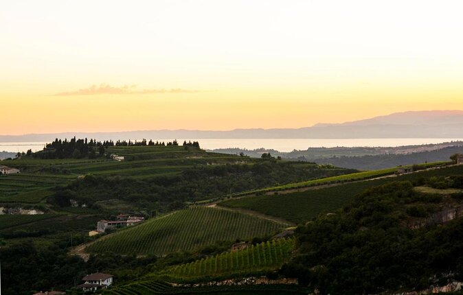 Pagus Wine Tours® - A taste of Amarone - Half day wine tour - Key points to know before you go