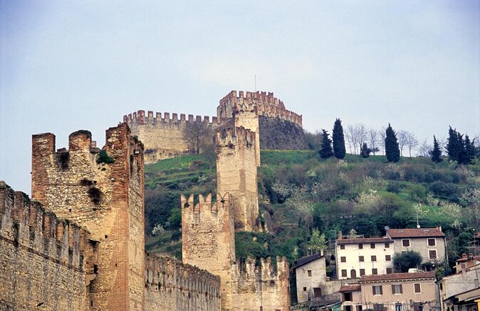 Pagus Wine Tours® - Soave and Amarone - Half day wine tour - Key things to know before you go