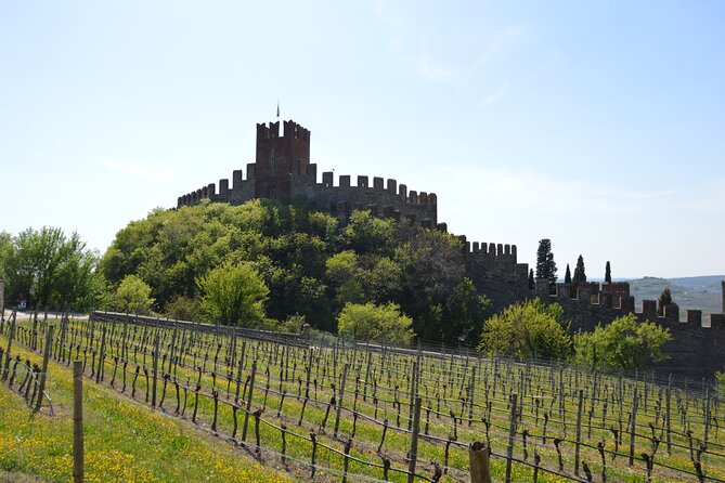 Pagus Wine Tours® - Soave and Amarone - Half day wine tour - The Winery Tastings: At Least Four Wines Each, Guided by a Sommelier