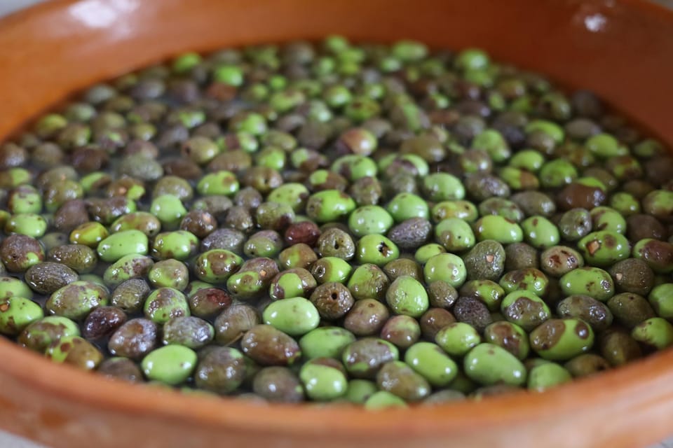 San Felice: Olive Oil Tasting with local food on Garda Hills - Wine With Your Oil: Lugana and Chiaretto Biologico