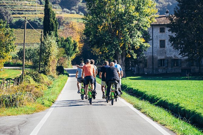 Small-group Amarone Wine e-Bike Tour from Verona - The winery stop: Valpolicella tasting basics, then Amarone
