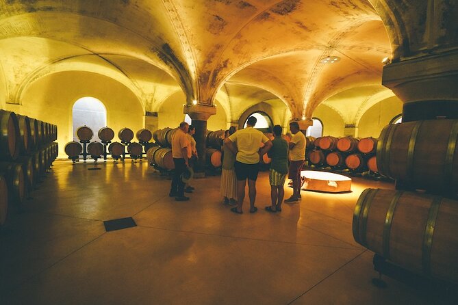 Small-group Amarone Wine e-Bike Tour from Verona - Weather, timing, and the ride back to Verona