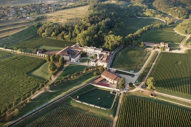 The Amarone Chateau guided tour and tasting in Valpolicella - Group size, language, and what to ask if expectations are strict