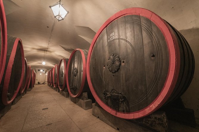 The Amarone Chateau guided tour and tasting in Valpolicella - Should you book the Villa Mosconi Amarone tour?