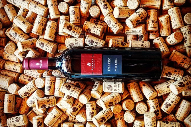 Tour in the Winery and tasting - The tasting table: four glasses plus local food pairings