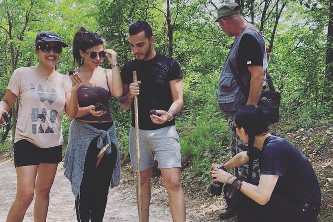 Truffle Hunting with Wine Tasting - The winery stops: terrace time, plus what happens if hunting is closed